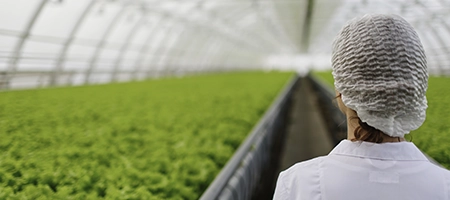 Imagen agroalimentario sector estratégico en Aragón